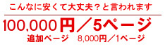 50,000円／5ページ